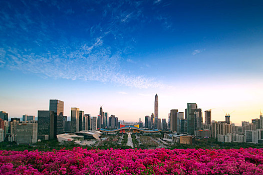 中国广东深圳福田中心区都市夜景