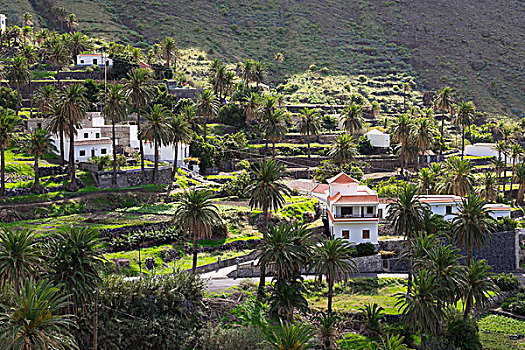 小村庄,大帝谷,加纳利群岛,西班牙,欧洲