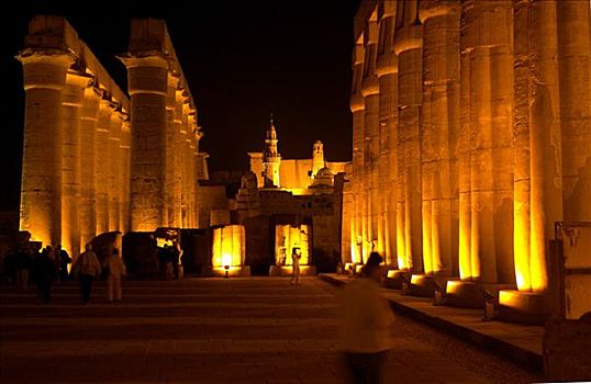 路克索神庙,尼罗河,埃及,庙宇,植物,背景