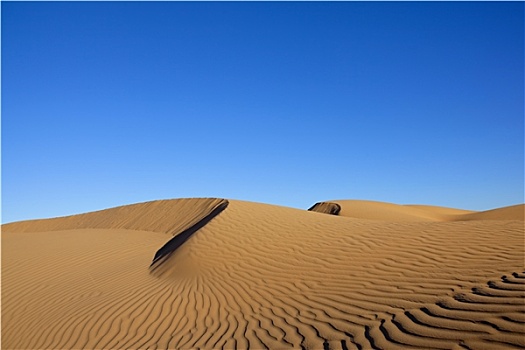 沙漠,沙丘,清晰,蓝天