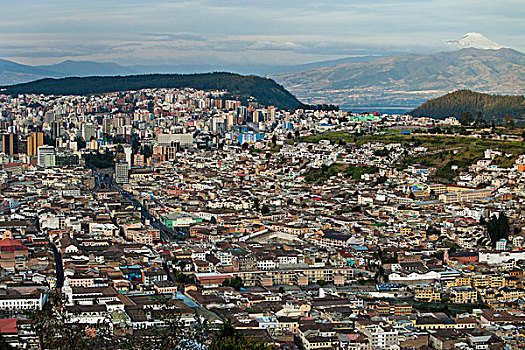 上方,基多,历史,城镇中心,厄瓜多尔,南美