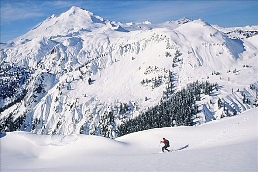 男人,滑雪,旅游