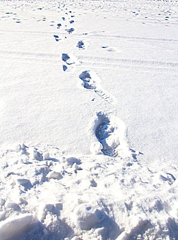 厚厚雪地上的脚印