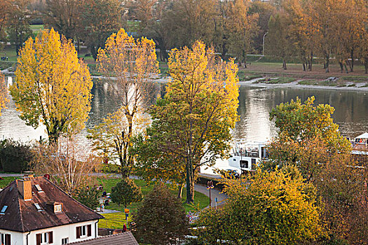 德国,黑森林,俯视图,莱茵河,河,秋天