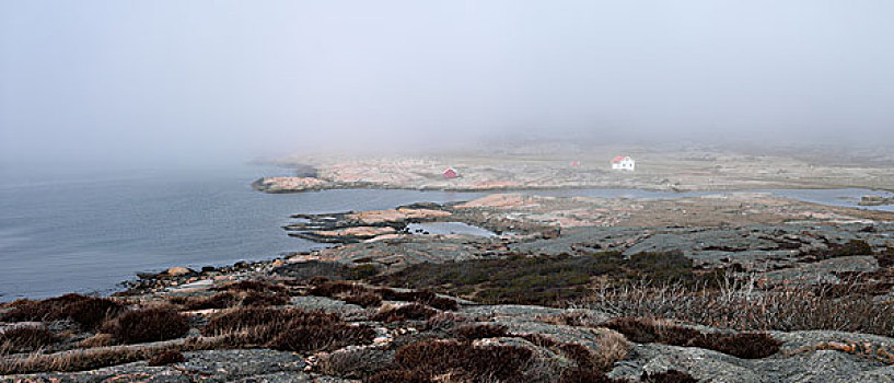 岩石海岸,雾状,天气
