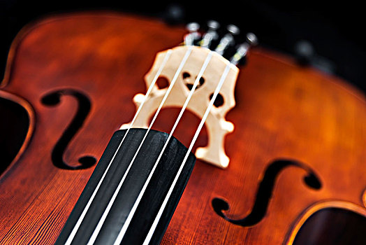 西洋乐器大提琴的琴马