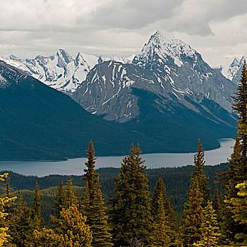 湖,正面,山,玛琳湖,碧玉国家公园,艾伯塔省,加拿大