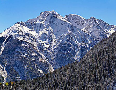 美国,科罗拉多,圣胡安,国家森林,秋天,雪,黎明,顶峰,针叶树,圣胡安山,大幅,尺寸