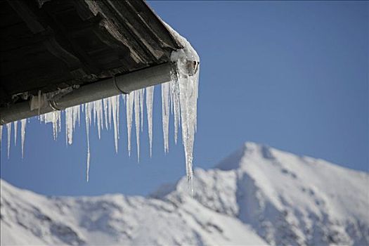 冰柱,屋顶,排水槽,房子,背影,雪山,萨尔茨堡,奥地利,欧洲