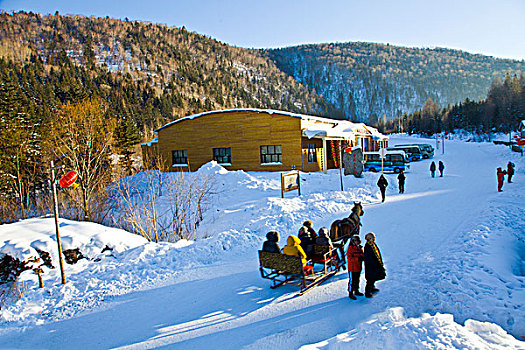 雪乡,双峰林场,村庄,风景,白天,黑龙江,牡丹江