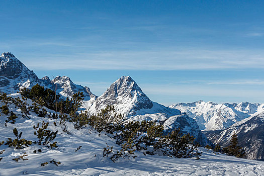 风景,山,雪,顶端,阿尔卑斯山
