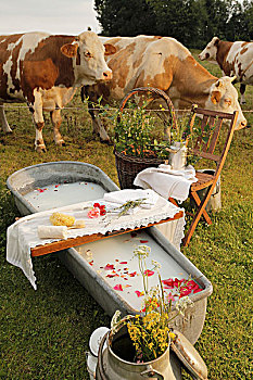 牛奶,浴室,玫瑰花瓣,沐浴用品,草地,母牛,背景
