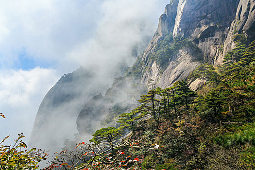 中国安徽黄山自然风光