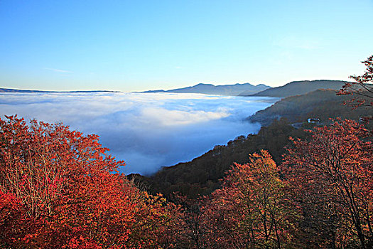 湖,云海,黎明