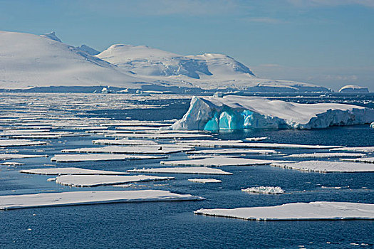 南,南极,圆,靠近,阿德莱德,岛屿,冰山,浮冰