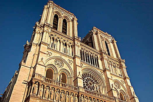 大教堂,沭浴,阳光,巴黎,法国
