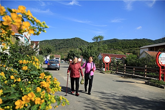 山东省日照市,昔日小山村蝶变美丽乡村打卡地