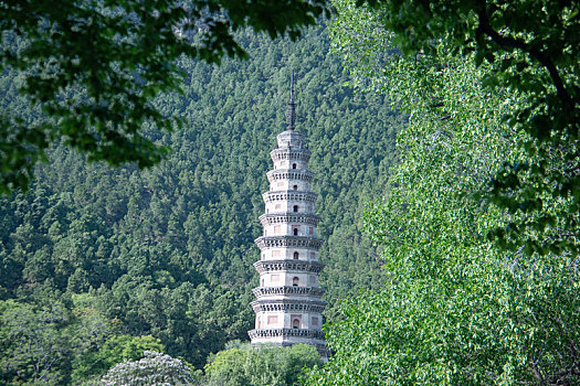 灵岩寺,济南,济南灵岩寺,佛教,佛教胜地