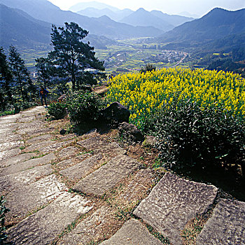 江岭石板路和春色