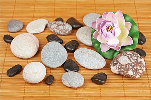 石头,花