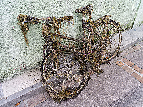 自行车,河,遮盖,藻类,壳