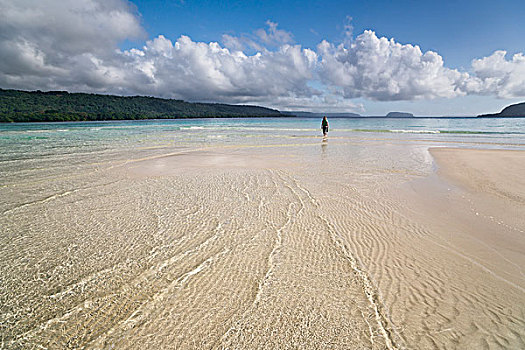 女人,走,沙洲,海滩,瓦努阿图,大洋洲
