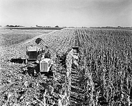 俯拍,农民,收获,玉米,联合收割机,土地,长椅,爱荷华,美国