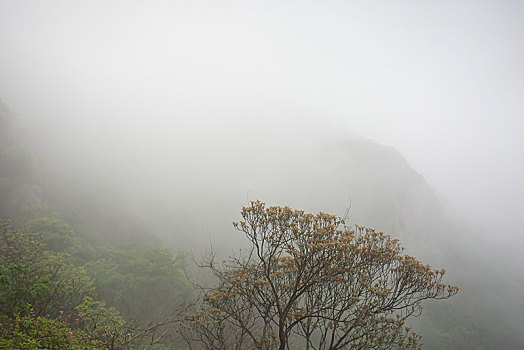 山脉,山峰