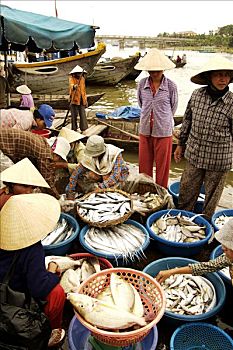 鱼市,码头,惠安,河,广南省,岘港,越南,亚洲