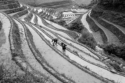 龙胜梯田黑白版画大地行为艺术