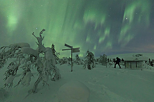 摄影师,雪,木头,北极光,国家公园,拉普兰,芬兰