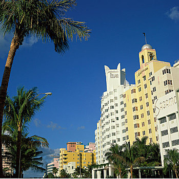 酒店,迈阿密海滩,迈阿密,佛罗里达,美国