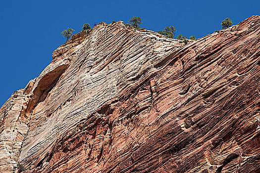 砂岩,悬崖,锡安国家公园,犹他,美国,北美