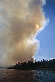 烟,森林火灾,太阳,基奈,野生动植物保护区,阿拉斯加