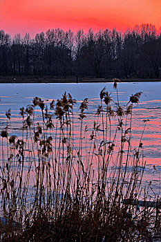 湿地夕照