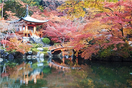 秋季,离开,改变,彩色,红色,庙宇,日本