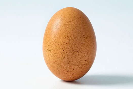 单独一颗鸡蛋,在白色背景