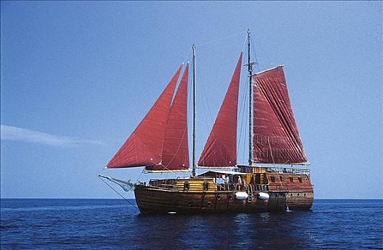 帆船,西班牙,马尔代夫,印度洋