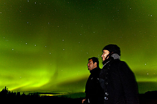 伴侣,女人,男人,看,螺旋,北极光,极地,绿色,靠近,育空地区,加拿大