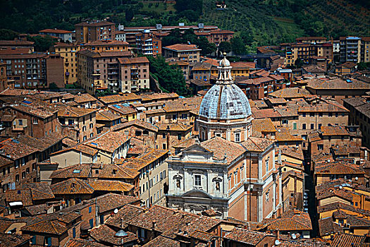 圣玛丽亚教堂,老,中世纪,城镇,锡耶纳,俯视,意大利