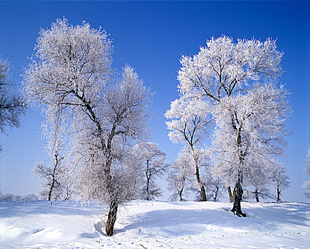 吉林雾凇雪景风光