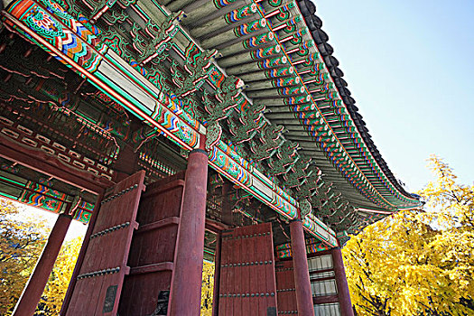 韩国,首尔,德寿宫,入口,特写