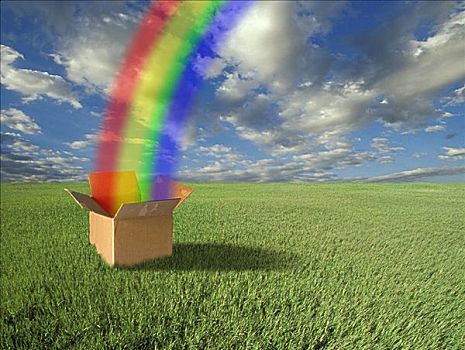 彩虹,纸箱