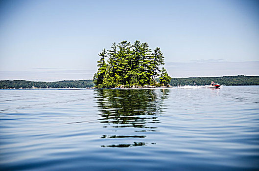 摩托艇,树,遮盖,岛屿,反射,湖水
