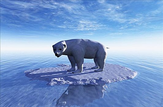 电脑插画,一个,孤单,北极熊,小,块,冰