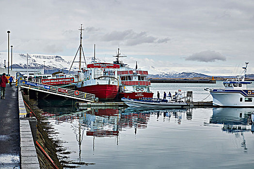 冰岛,雷克雅未克,港口,船,老
