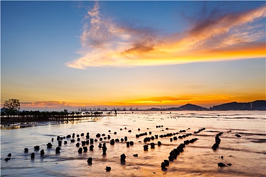 海景,日落