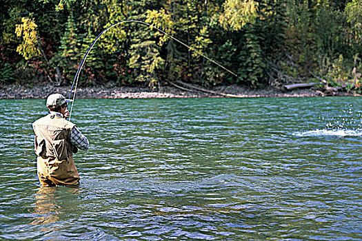 女士,垂钓,玩,河,不列颠哥伦比亚省,加拿大