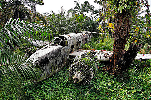 新西兰,飞机,残骸,第二次世界大战,靠近,胜地,巴布亚新几内亚