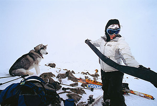 滑雪者,哈士奇犬
